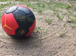 爱游戏在线登录-中超球队外援归队状态良好，中超外援归队情况一览表