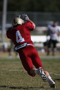 爱游戏体育网页版-山东泰山迎战津门虎：赛前传3个不利因素和2个有利因素，山东泰山门将