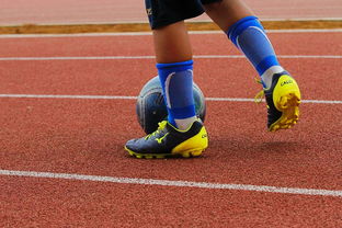 爱游戏全站app注册-布莱顿的欧战首秀：德泽尔比的挑战与机遇，德布莱尔门窗有限公司